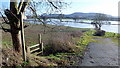 Footpath into the flood, 1