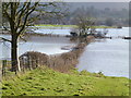 Flooded Wye