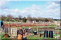 TF1019 : Allotments in the South Fen at Bourne, Lincolnshire by Rex Needle