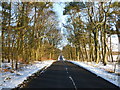 Road near Hill of Murdostoun