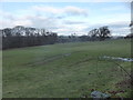 Field near the lake at Coed Coch