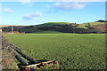 Farmland at Auchenflower