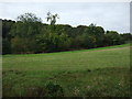 Farmland towards Greno Wood