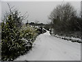 Snow along Corlea Road