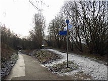 SK4481 : The Trans Pennine Trail (TPT) at Rother Valley by Steve  Fareham