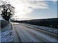SJ4362 : Sandy Lane on a cold winter's day by Christine Johnstone
