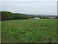 Grazing towards the M1 motorway