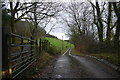 Track to Greenlands Farm