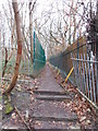 Narrow Footpath behind houses in Wiggan Lane