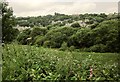 Hebble Brook valley at Wheatley