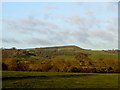 Fields near Marshwood Manor