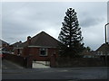 Bungalow on Hoyland Road