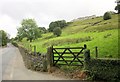 Hillside above Ovenden Wood Road