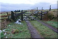 Start of the path to Great Mis Tor, from Rundlestone