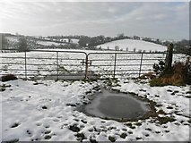 H3965 : Frosty puddle and gates, Glennan by Kenneth  Allen
