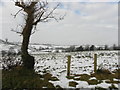 Skreen Townland