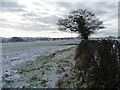 Farmland south of Newton Lane [1]