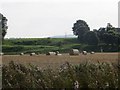 Round bales, Nairn