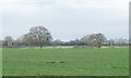 Wooded farmland north of Long Lane