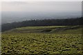 SO9738 : View over Conderton Hillfort by Philip Halling