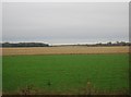 Arable and pastoral landscape