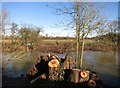 River Cherwell near Gosford Bridge