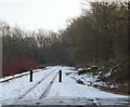 Cockliffe Wood, Burntstump Estate, Arnold, NG5, Notts