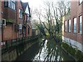 Gasworks Stream, Tonbridge