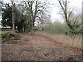 The edge of the churchyard, Little Driffield