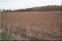 SU5952 : Farmland by Wootton Copse by Mr Ignavy