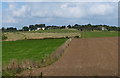 View across the fields to Halstead