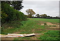 Hedge, Wood Barn Farm