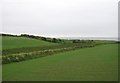 Farm land between the A2 and the sea