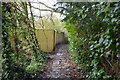 Footpath in Charlwood