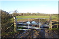 Field gate by very muddy footpath