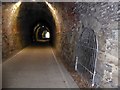SS4523 : Tunnel on the Tarka Trail near Landcross by David Smith