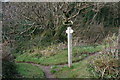 Pembrokeshire Coast Path at Freshwater East