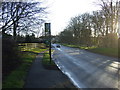 Bus stop on Flamborough Road (B1255)