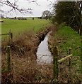 Drainage channel, Westbury-on-Severn