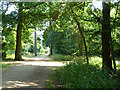 Public bridleway, Black Park