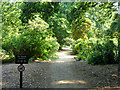 Path into the Temple Gardens