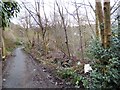 Abandoned Allotments