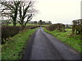 Peacock Road, Peacockbank