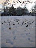NZ2869 : Early and Heavy Snow Fall in Autumn 2010 by Andrew Tryon