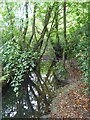 Stream near Winsford