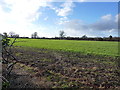 Fields to the east of Brewood