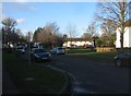 Houses in Beech Road