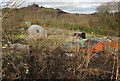 Obscured view of allotments, Pontypool