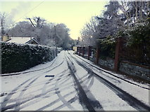 H4672 : Snow, Retreat Avenue, Omagh by Kenneth  Allen