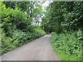 Severn Valley Railway trackbed